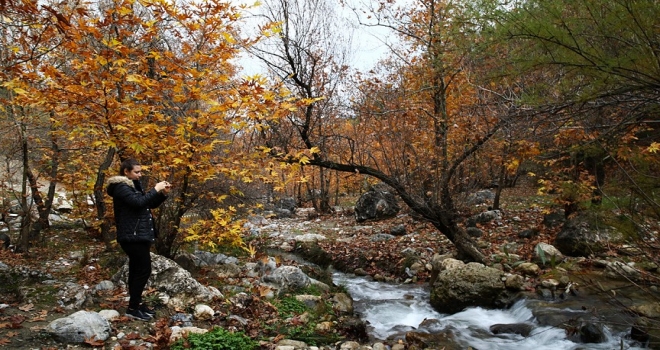 Doğu Akdenizde sonbahar renkleri