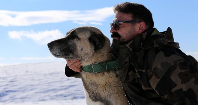 Ömrünü Kangal köpeği yetiştiriciliğine adadı